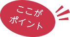 ここがポイント